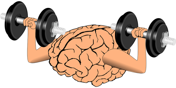 Mind-muscle connection